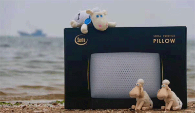 zs009.gif